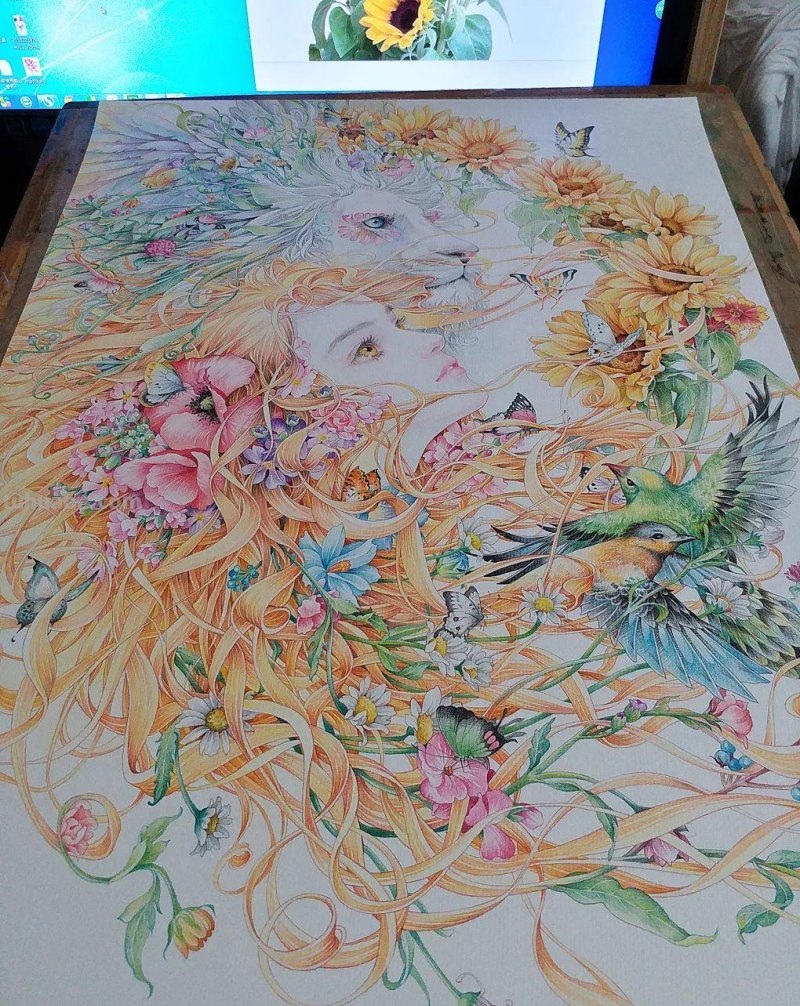 精细到极致的彩铅插画，每一幅都自带仙气，谁不喜欢呀！