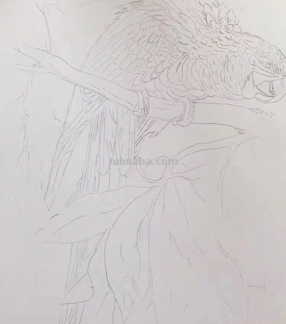 彩铅画教学：适合初学者学习的彩铅画教学，学会这些技法，很简单