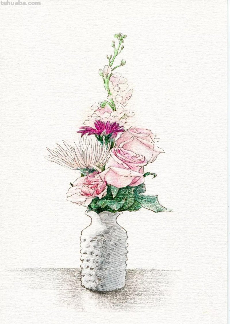 零基础也能画好彩铅画，教你画一幅瓶花