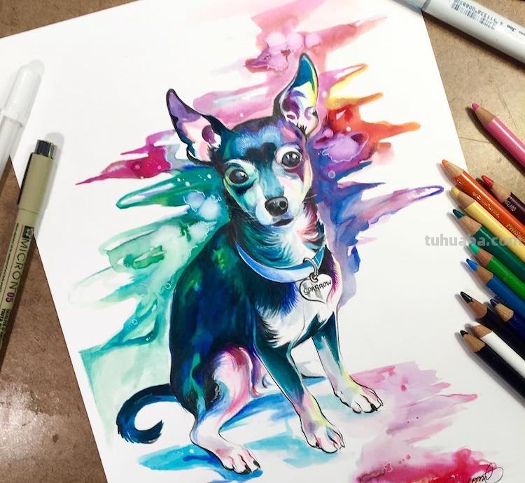 充满灵气的水彩动物插画：写实的外观，彩虹般梦幻又大胆的色彩
