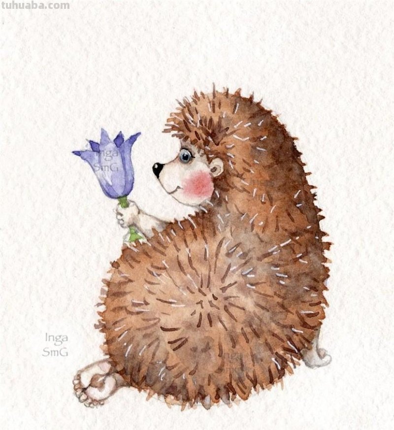 Inga Izmailova的可爱动物水彩插画作品欣赏