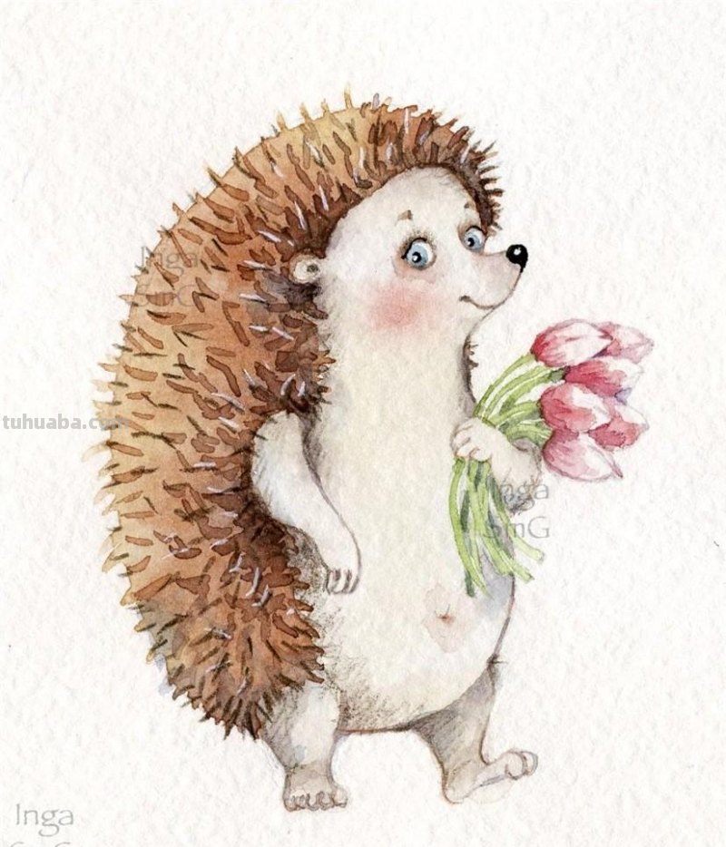 Inga Izmailova的可爱动物水彩插画作品欣赏