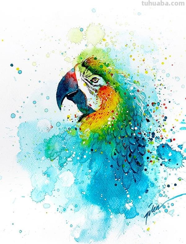 Tilen Ti 漂亮的水彩动物插画