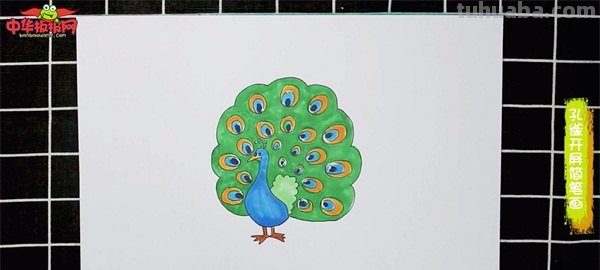 孔雀简笔画怎么涂颜色（孔雀简笔画怎么涂颜色好看）