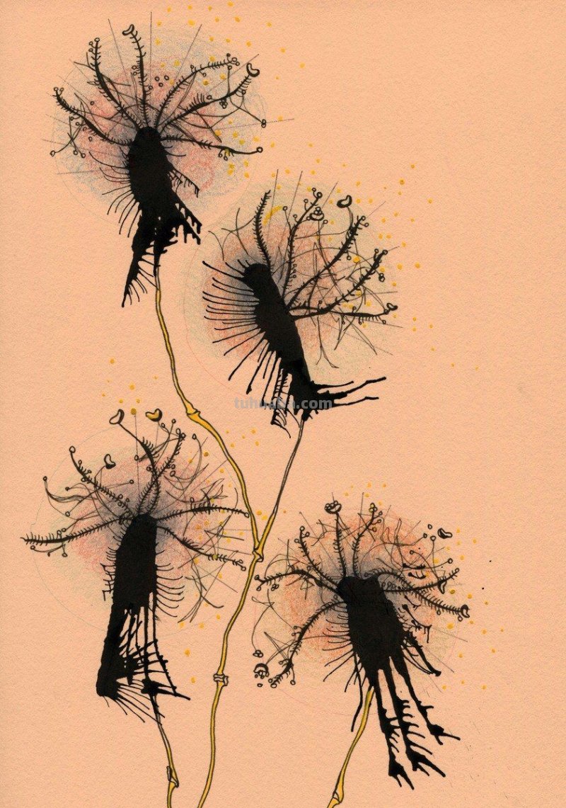 好看的水彩 插画图片集，喜欢的收藏
