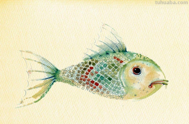 好看的水彩 插画图片集，喜欢的收藏