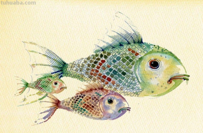 好看的水彩 插画图片集，喜欢的收藏