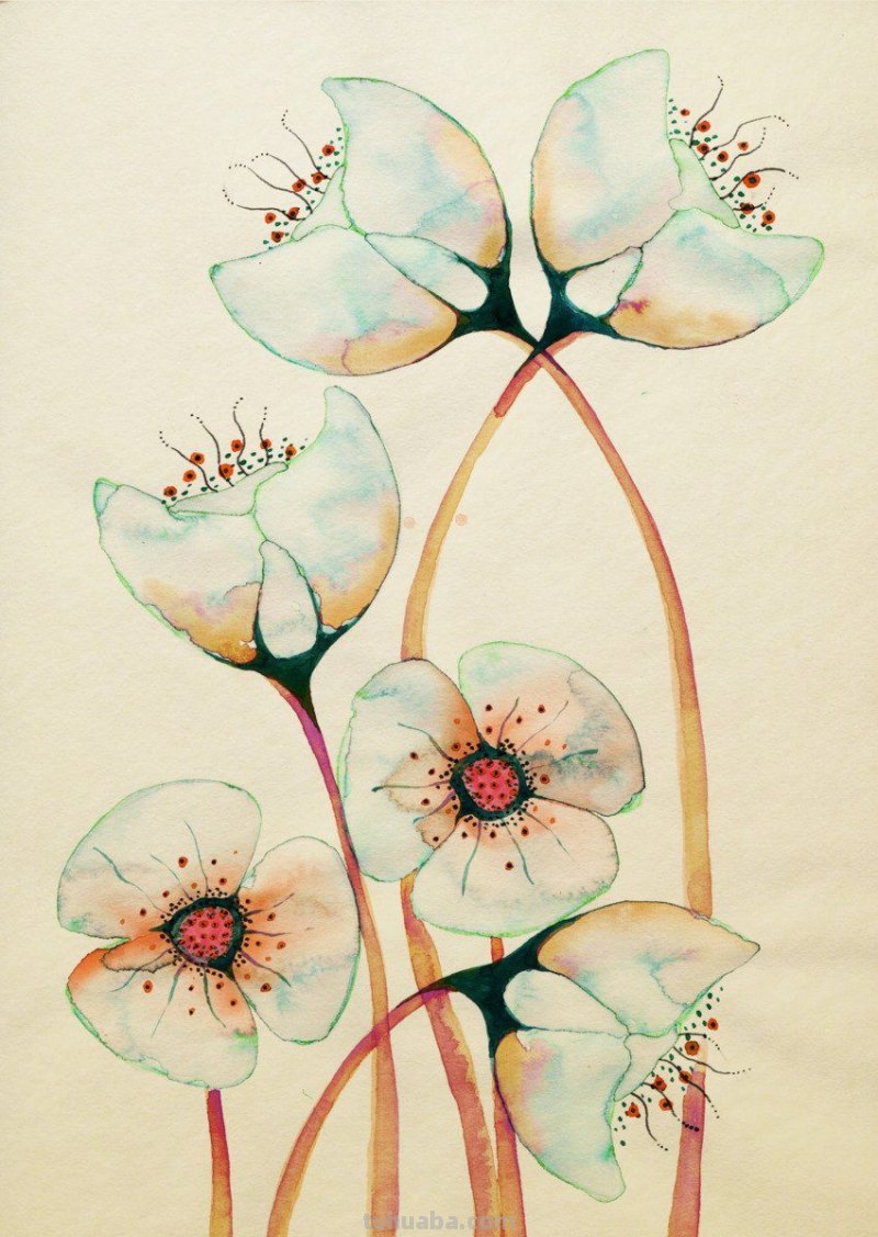 好看的水彩 插画图片集，喜欢的收藏