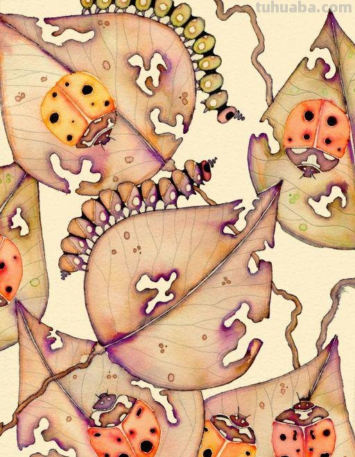 好看的水彩 插画图片集，喜欢的收藏