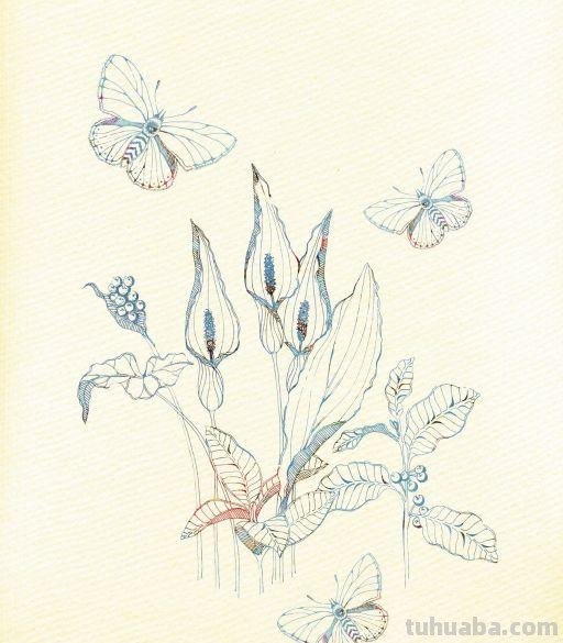 好看的水彩 插画图片集，喜欢的收藏