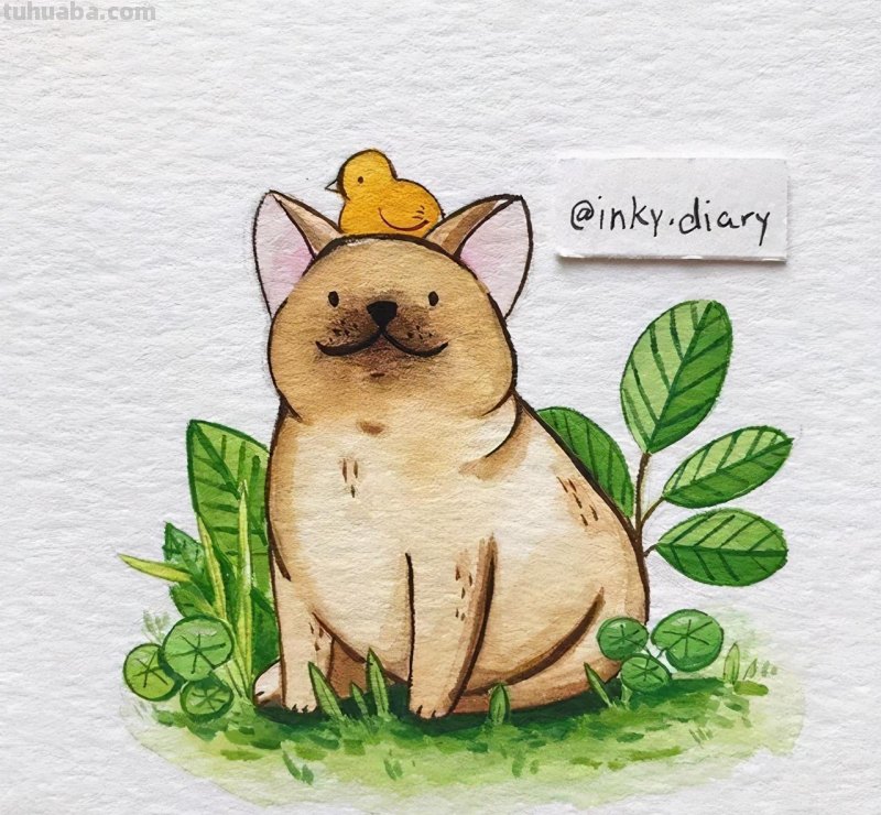 嘿！要来看一组可爱清新的小动物水彩插画吗？