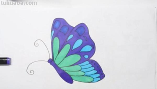 小蝴蝶怎么画简笔画(小蝴蝶怎么画简笔画可爱) 小蝴蝶怎么画简笔画(小蝴蝶怎么画简笔画可爱)