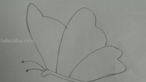 小蝴蝶怎么画简笔画(小蝴蝶怎么画简笔画可爱) 小蝴蝶怎么画简笔画(小蝴蝶怎么画简笔画可爱)