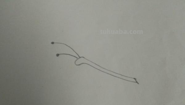 小蝴蝶怎么画简笔画(小蝴蝶怎么画简笔画可爱) 小蝴蝶怎么画简笔画(小蝴蝶怎么画简笔画可爱)