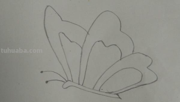 小蝴蝶怎么画简笔画(小蝴蝶怎么画简笔画可爱) 小蝴蝶怎么画简笔画(小蝴蝶怎么画简笔画可爱)