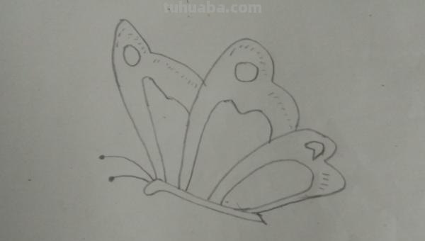 小蝴蝶怎么画简笔画(小蝴蝶怎么画简笔画可爱) 小蝴蝶怎么画简笔画(小蝴蝶怎么画简笔画可爱)
