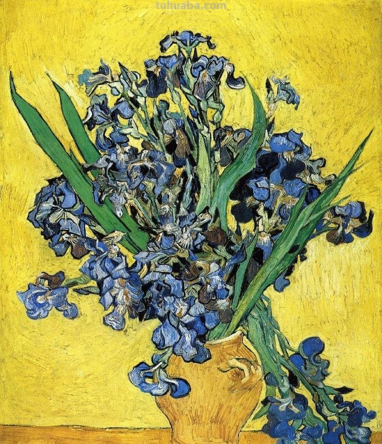 从17-19世纪，历史上最著名的12幅花卉主题静物画赏析