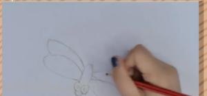 蜻蜓怎么画真实彩铅（蜻蜓怎么画真实彩铅画）