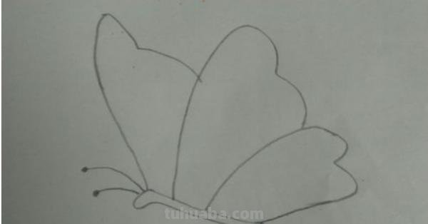 蝴蝶怎么画 儿童 彩铅（蝴蝶怎么画 儿童 彩铅画）