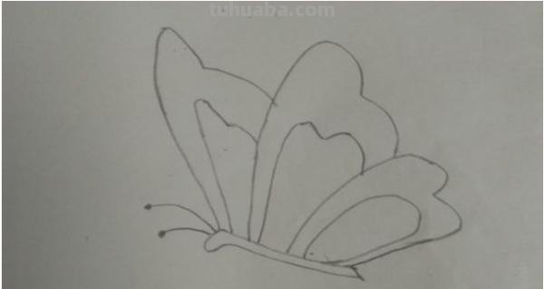 蝴蝶怎么画 儿童 彩铅（蝴蝶怎么画 儿童 彩铅画）
