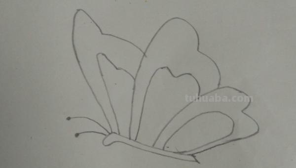 蝴蝶怎么画 儿童 彩铅（蝴蝶怎么画 儿童 彩铅画）