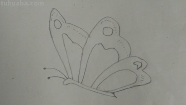 蝴蝶怎么画 儿童 彩铅（蝴蝶怎么画 儿童 彩铅画）