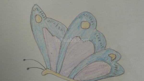 蝴蝶怎么画 儿童 彩铅（蝴蝶怎么画 儿童 彩铅画）