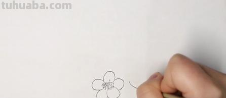 儿童彩铅梅花怎么画（儿童彩铅梅花怎么画好看）