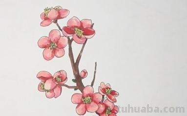 儿童彩铅梅花怎么画(儿童彩铅梅花怎么画好看) 儿童彩铅梅花怎么画(儿童彩铅梅花怎么画好看)
