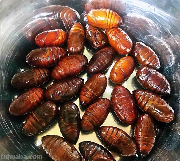中国人的美食汇，中国占了3个，网友：这个东西要怎么吃？