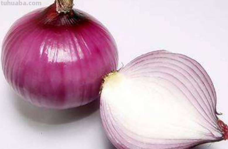 谁说洋葱只能买着吃，学会这3步，家里也能养殖出洋葱