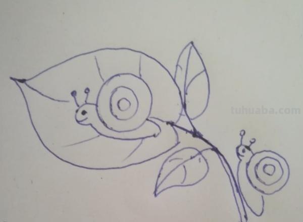 彩铅透明蜗牛怎么画（彩铅透明蜗牛怎么画好看）