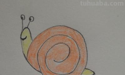 彩铅透明蜗牛怎么画（彩铅透明蜗牛怎么画好看）
