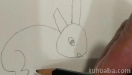 兔子怎么画视频彩铅（兔子怎么画视频彩铅画）