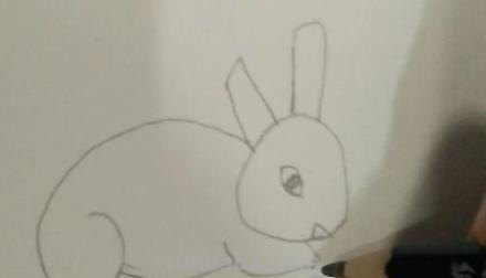 兔子怎么画视频彩铅（兔子怎么画视频彩铅画）