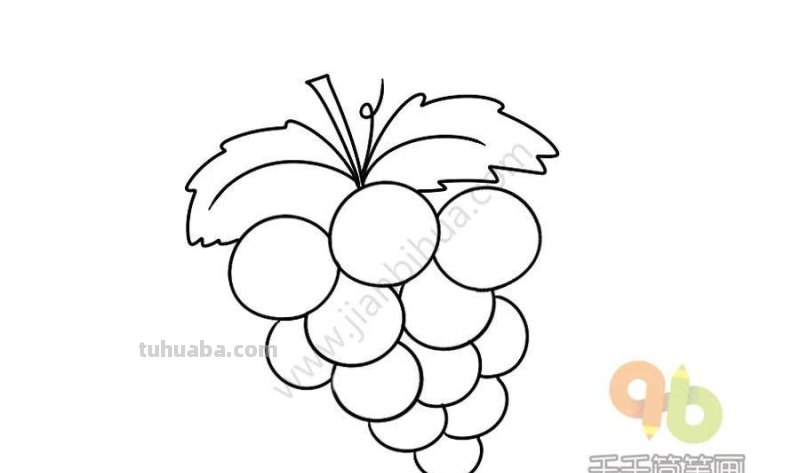 10种日常蔬菜水果简笔画，育儿家长幼师必备！