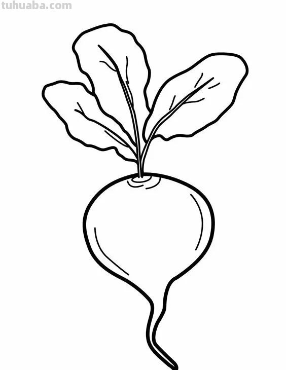 蔬菜和水果的简笔画线稿资料，适合幼儿园儿童涂色