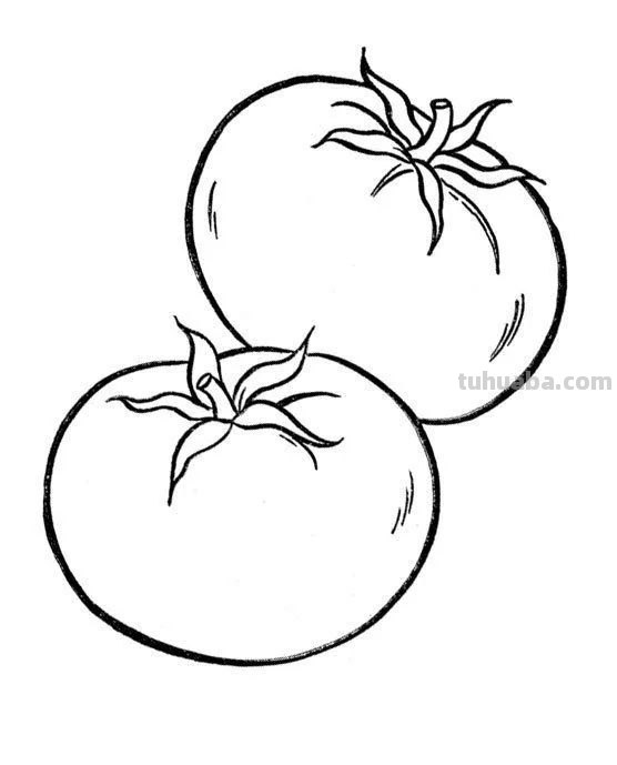 蔬菜和水果的简笔画线稿资料，适合幼儿园儿童涂色