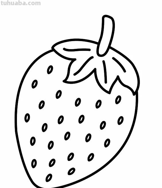 蔬菜和水果的简笔画线稿资料，适合幼儿园儿童涂色