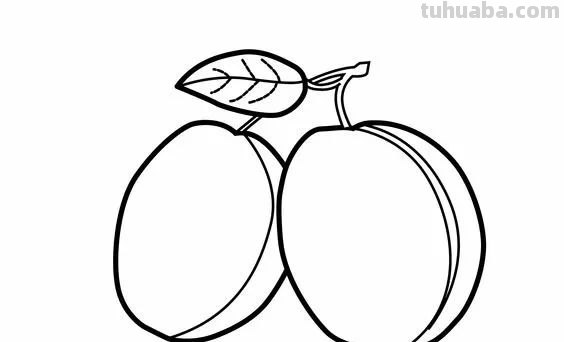 蔬菜和水果的简笔画线稿资料，适合幼儿园儿童涂色