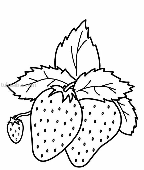 蔬菜和水果的简笔画线稿资料，适合幼儿园儿童涂色