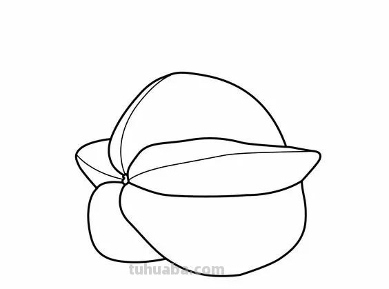 蔬菜和水果的简笔画线稿资料，适合幼儿园儿童涂色