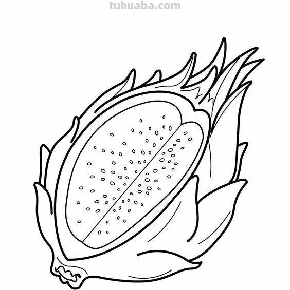 蔬菜和水果的简笔画线稿资料，适合幼儿园儿童涂色