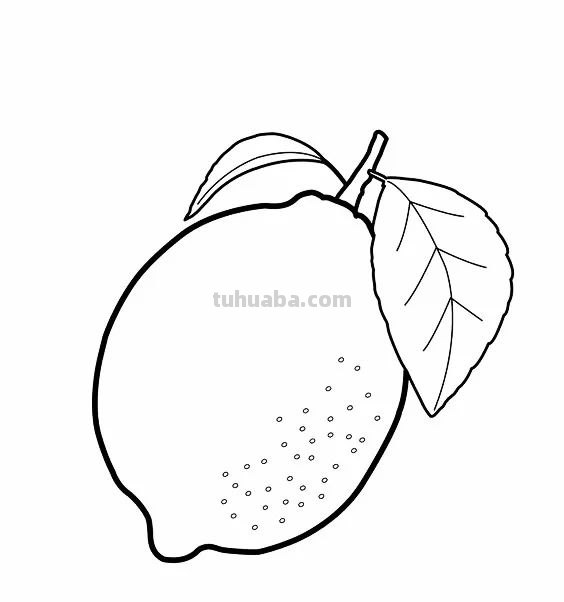 蔬菜和水果的简笔画线稿资料，适合幼儿园儿童涂色