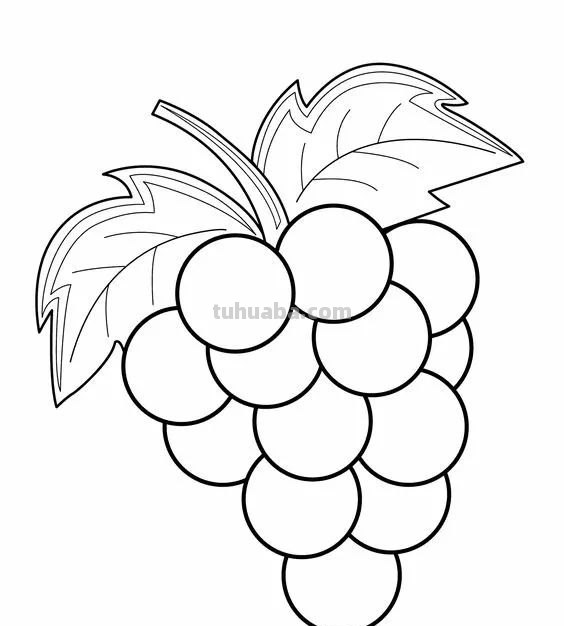 蔬菜和水果的简笔画线稿资料，适合幼儿园儿童涂色