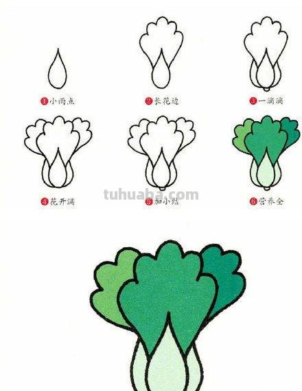 9种蔬菜简笔画小教程，简单又好画