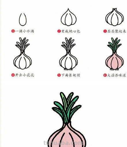 9种蔬菜简笔画小教程，简单又好画