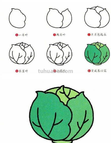 9种蔬菜简笔画小教程，简单又好画
