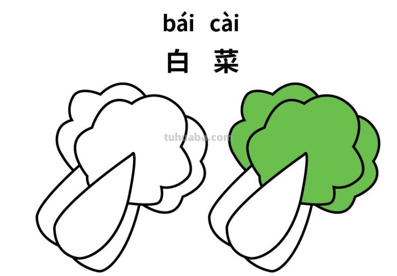 10种不同蔬菜的儿童简笔画素材，初学者简单实用，还能识字学画画