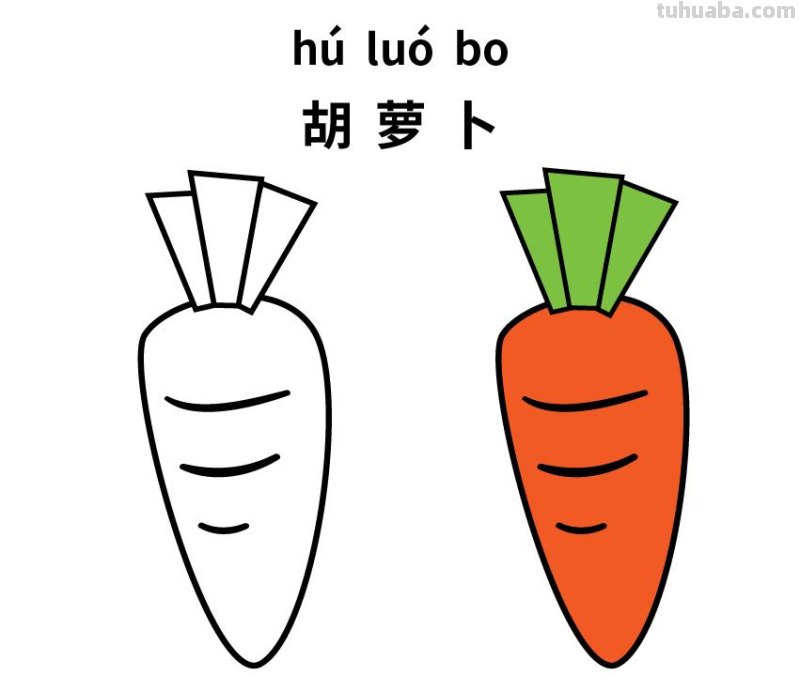 10种不同蔬菜的儿童简笔画素材，初学者简单实用，还能识字学画画
